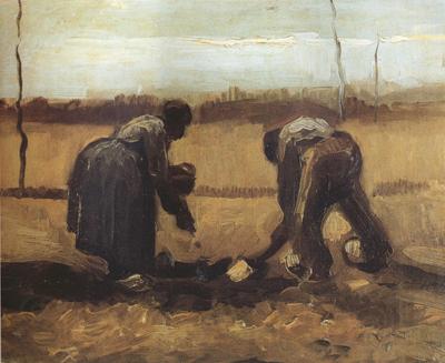 Vincent Van Gogh Peasant and Peasant Woman Planting Potatoes (nn04) Spain oil painting art
